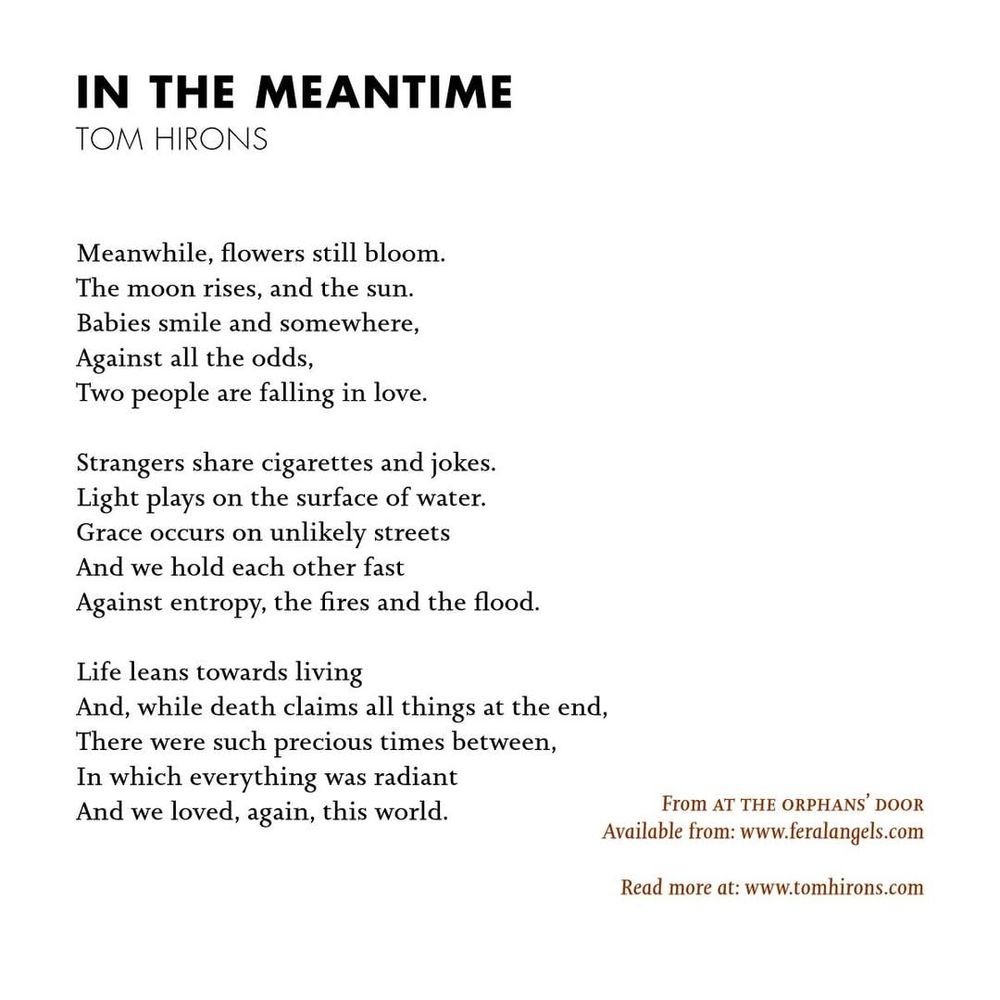 In the Meantime by Tom Hirons
Meanwhile, flowers still bloom.
The moon rises, and the sun.
Babies smile and somewhere,
Against all the odds,
Two people are falling in love.

Strangers share cigarettes and jokes.
Light plays on the surface of water.
Grace occurs on unlikely streets
And we hold each other fast
Against entropy, the fires and the flood.

Life leans towards living
And, while death claims all things at the end,
There were such precious times between,
In which everything was radiant
And we loved, again, this world.