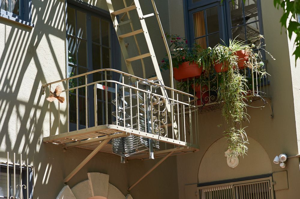 A fire escape and bird in flight