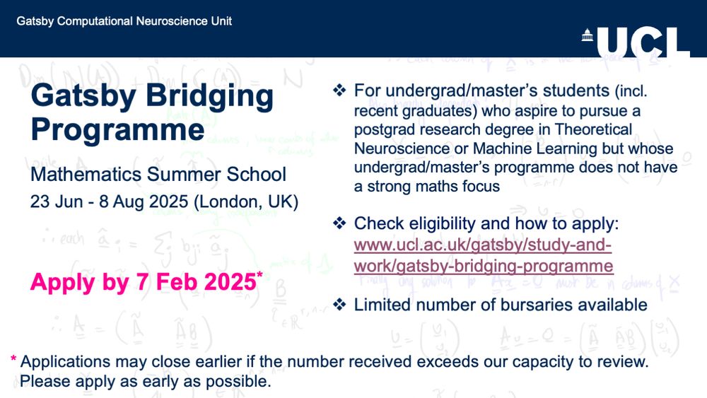 Gatsby Bridging Programme flyer