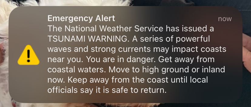 Emergency Alert  
The National Weather Service has issued a TSUNAMI WARNING. A series of powerful waves and strong currents may impact coasts near you. You are in danger. Get away from coastal waters. Move to high ground or inland now. Keep away from the coast until local officials say it is safe to return.