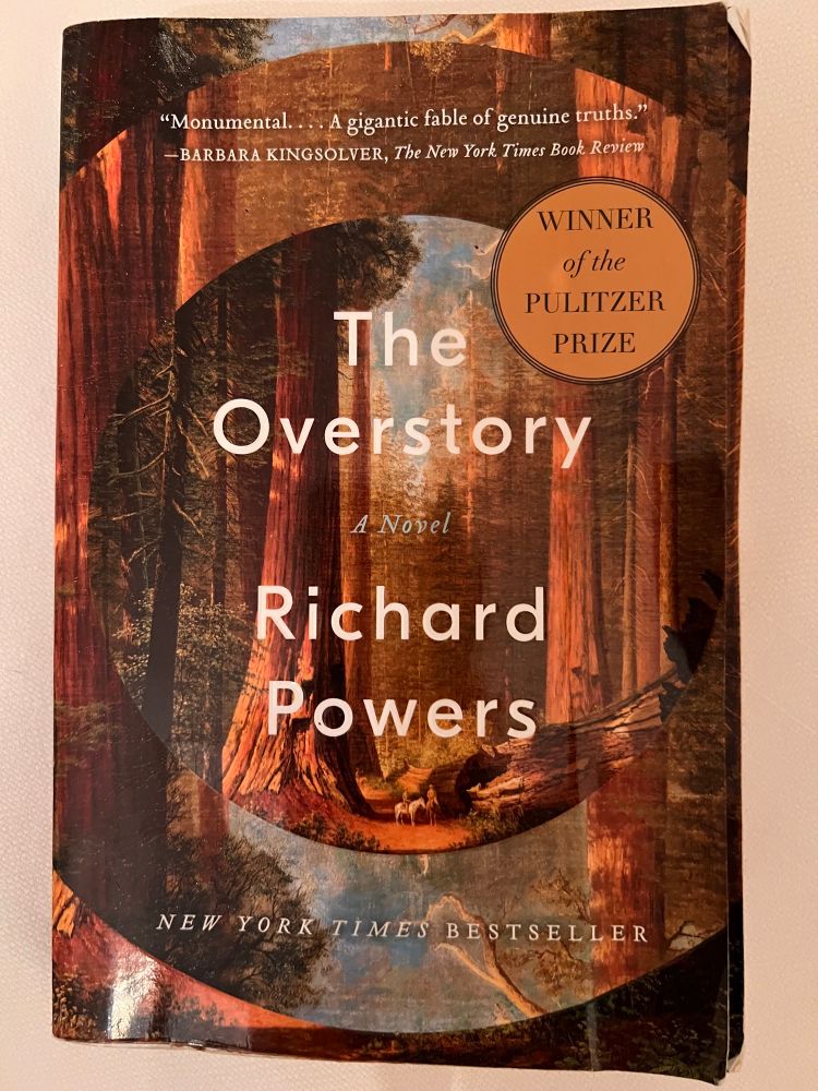 Book cover of The Overstory by Richard Powers. 