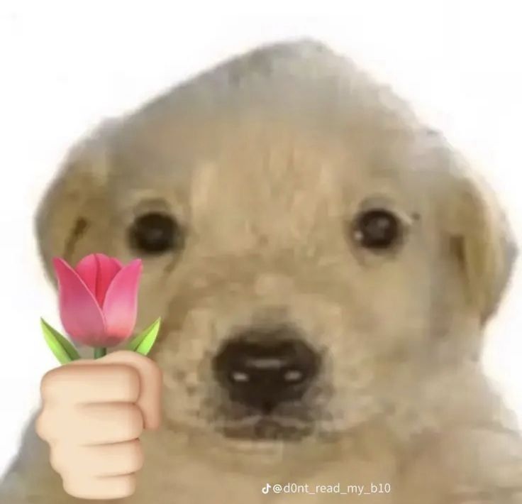 Comment image