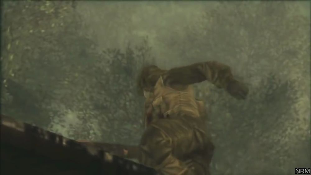 A screenshot from Metal Gear Solid 3