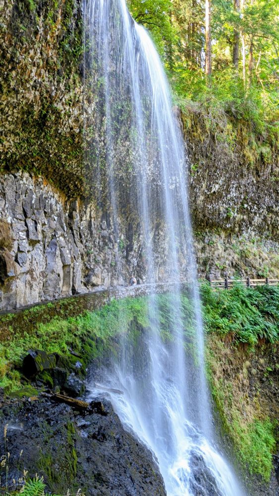One of the many waterfalls at silver falls State Park. The falls cascade over a rocky overhang that protects a railed path. The water hits rocks below and spreads out before flowing to a basin. Because of the slow shutter speed, the water is blurry, giving the appearance of fluffy strands