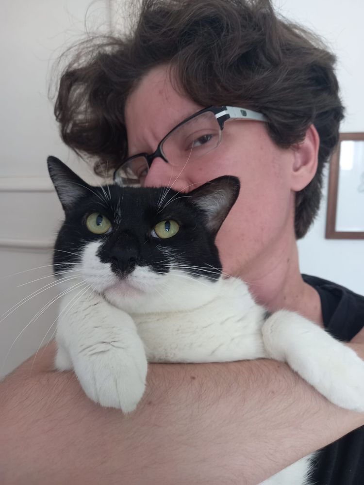 Gato preto e branco gorducho sendo beijado atrás da cabeça revirando os olhos verdes querendo descer do colo 