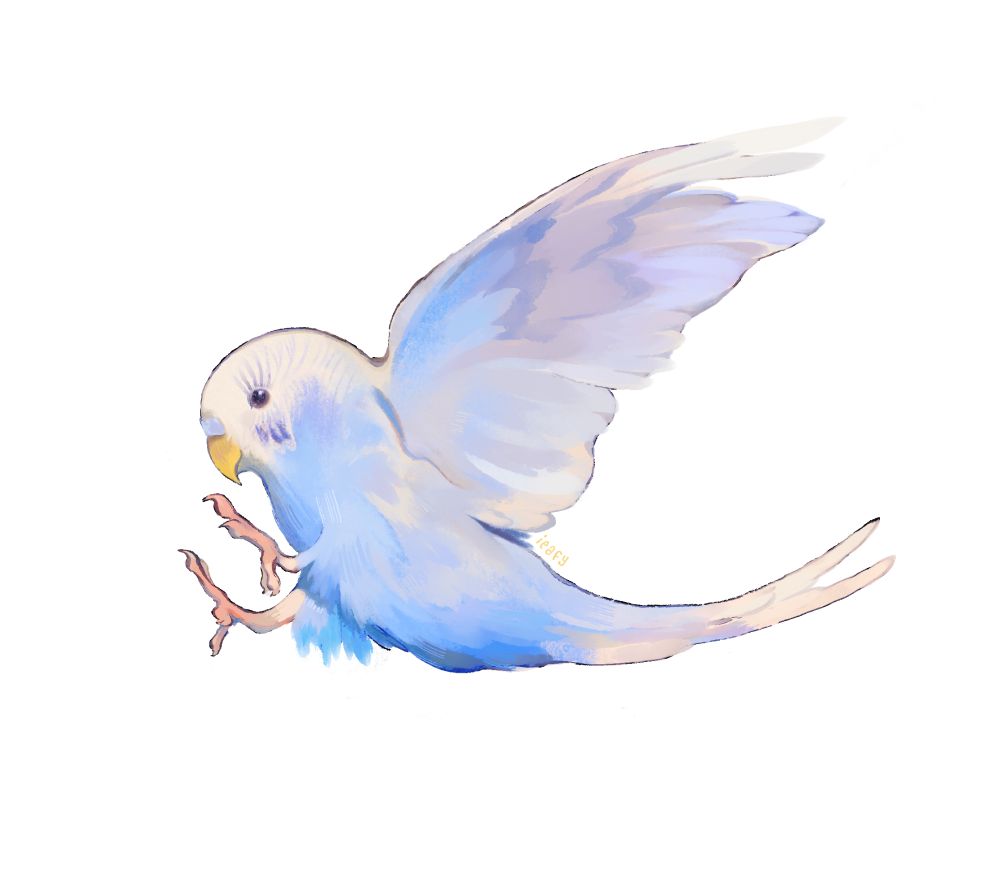 A digital illustration of a budgie bird