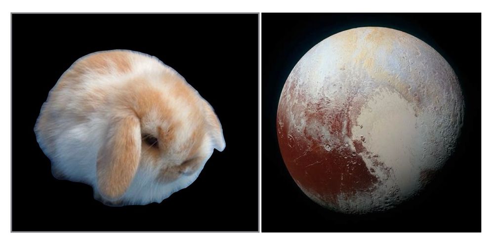 smol bun and smol planet.