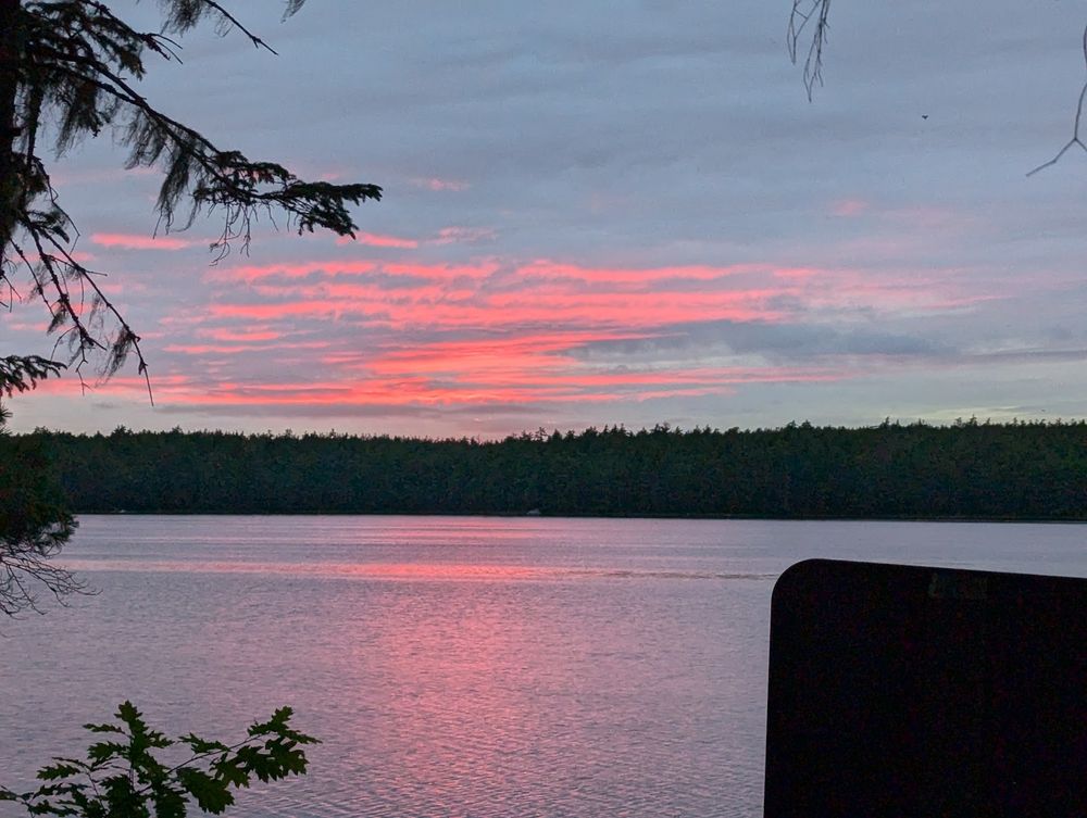 Pink sunset low in sky over a forested lake.