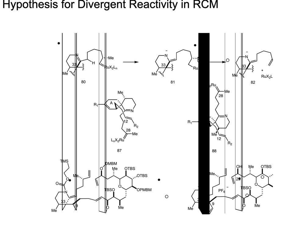 Garbled powerpoint presentation showing "hypothesis for divergent reactivity in RCM", with several vertical black lines, and structures going off screen.
