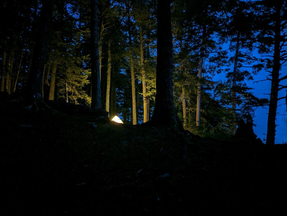 Tent lit up at night surrounded by tall hemlock trees (a 3 minute exposure, I am not in the habit of taking a searchlight camping with me).