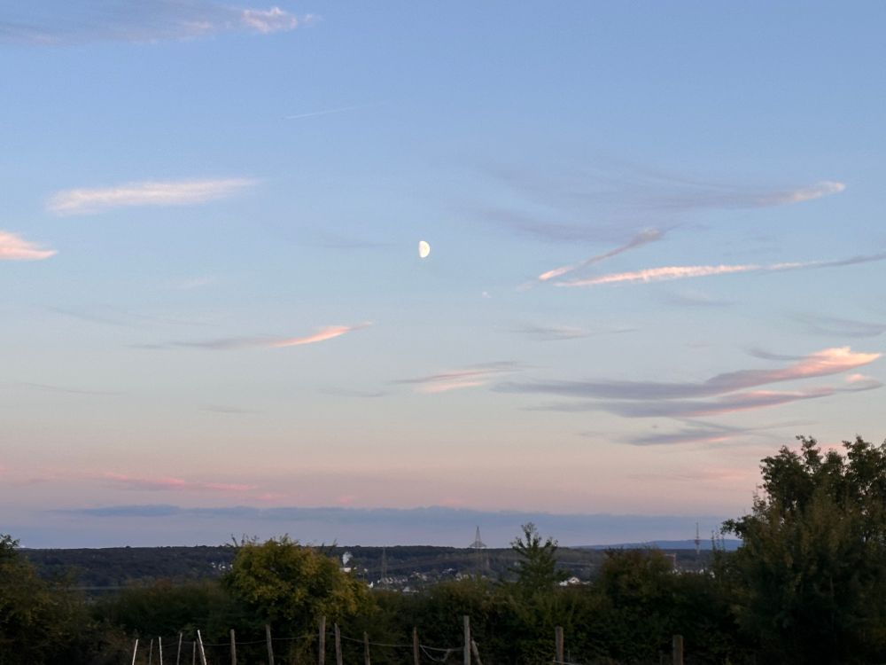 himmel in verschiedenen rosa lila und blau pastelltönen aufgehender halbmond mittig im bild einzelne weise wölkchen