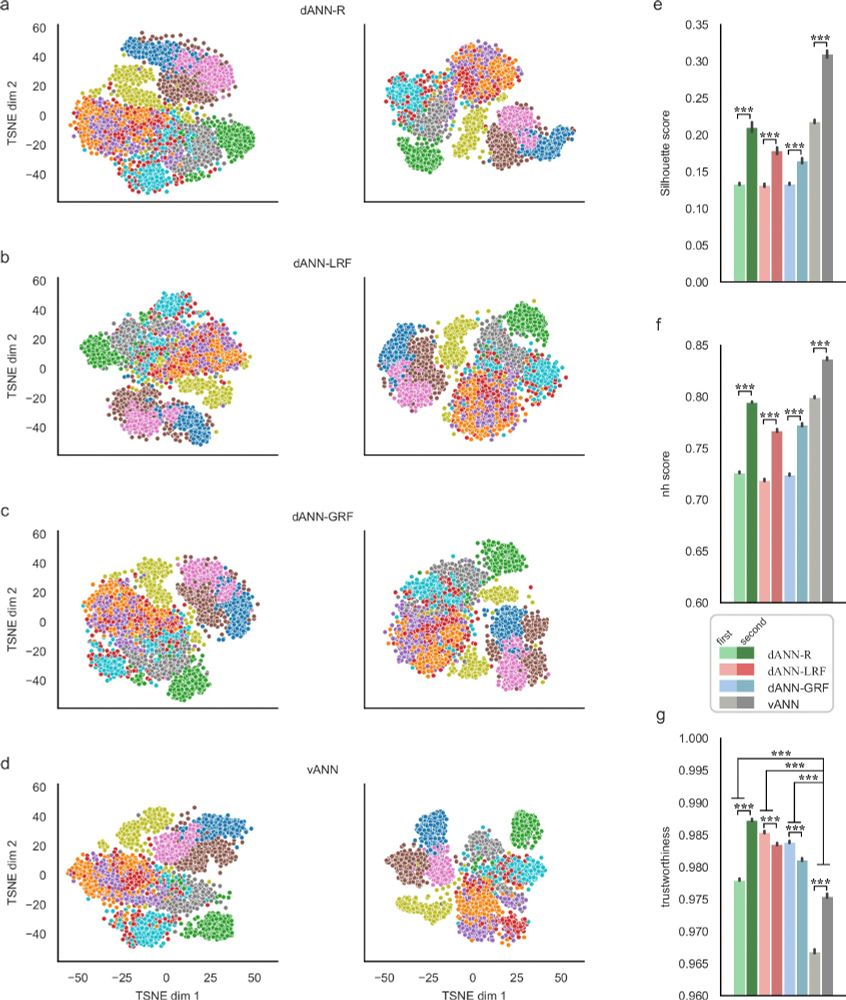a–d TSNE projections of the activations for the first (left column) and the second (right column) hidden layers corresponding to the three dANN and the vANN models. Different colors denote the image categories of the FMNIST dataset. While the figure shows the results of one run, the representations are consistent across 10 runs of the TSNE algorithm (data not shown). e Silhouette scores of the representations. f Neighborhood scores of the representations, calculated using 11 neighbors. g Trustworthiness of the representations, calculated using 11 neighbors. In all barplots the error bars represent the 95% confidence interval across N = 5 initializations for each model and 10 runs of the TSNE algorithm per initialization. Stars denote significance with unpaired t-test (two-tailed) with Bonferroni’s correction.