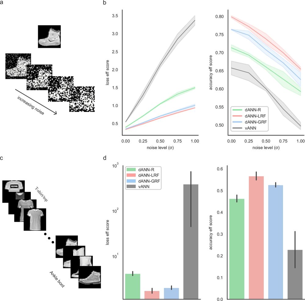 a An example of one FMNIST image with variable Gaussian noise. Sigma (σ) is the standard deviation of the Gaussian noise. b Testing loss (left) and accuracy (right) efficiency scores for all models and noise levels. Shades represent one standard deviation across N = 5 network initializations for each model. c The sequential learning task. d As in (b), but showing the loss (left) and accuracy (right) efficiency scores for the sequential task. Errorbars denote one standard deviation across N = 5 initializations for each model. See Table 2 and Supplementary Table 3 for the accuracy and loss values.