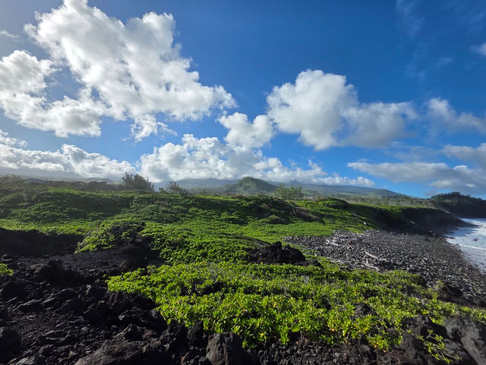 Same spot but a view of the island and vegetation.