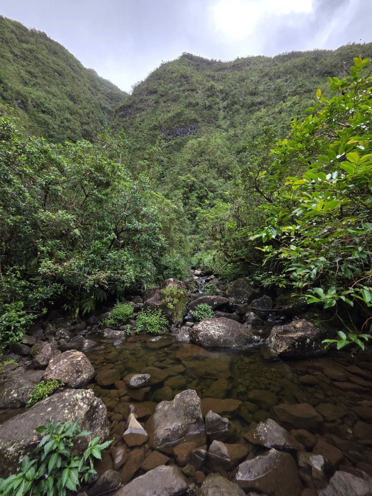 The path to the waterfall through a luxuriant vegetation and waterbeds.