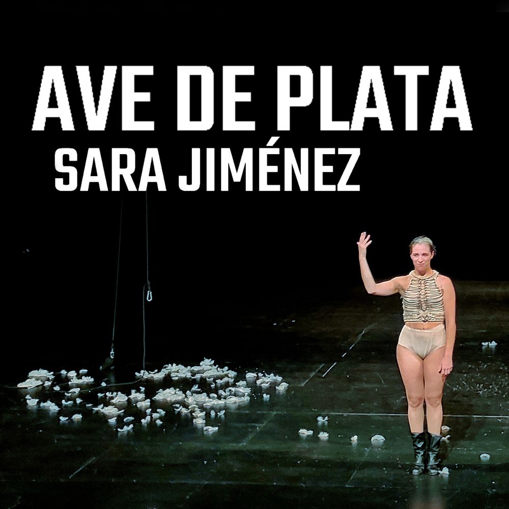 «Ave de plata» de Sara Jiménez en el Centro Danza Matadero de Madrid. 