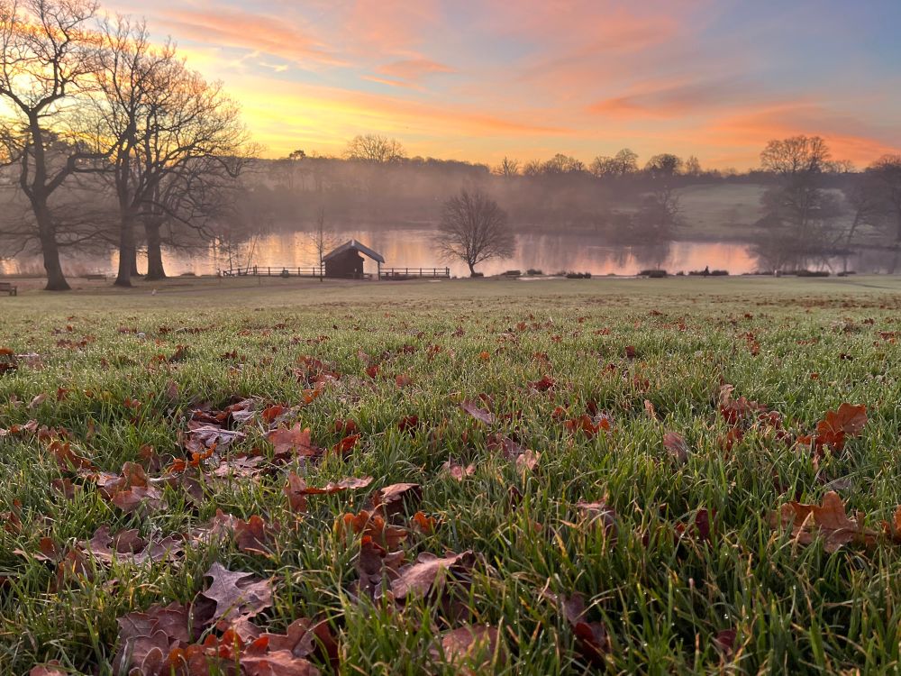 Looking down to the lake in Dunorlan Park, 17 December 2025.  