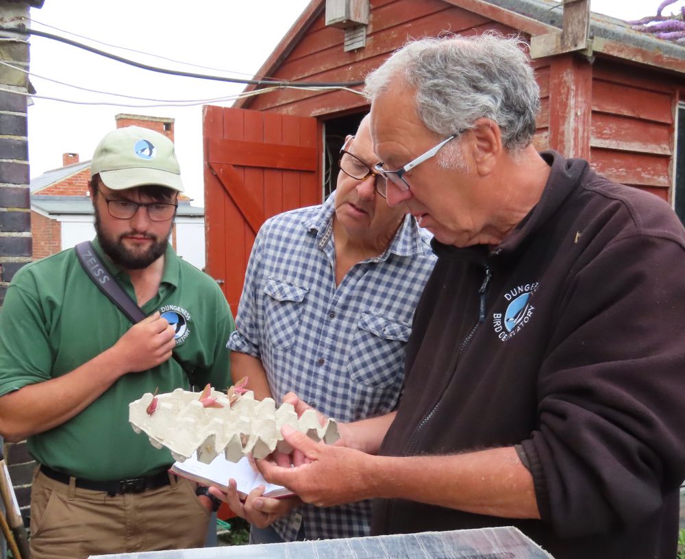 The dream team, Jacob, Sean & Dave, deep in thought (but probably not over the Elephant Hawk-moths). 