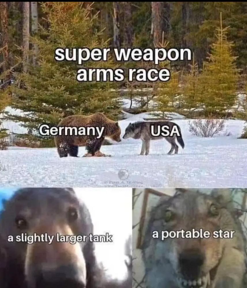 Title reads "Super Weapon Arms Race"
Germany is represented by a bear.
The USA is represented by a wolf.
Bear presents "a slightly larger tank."
Wolf presents "a portable star."