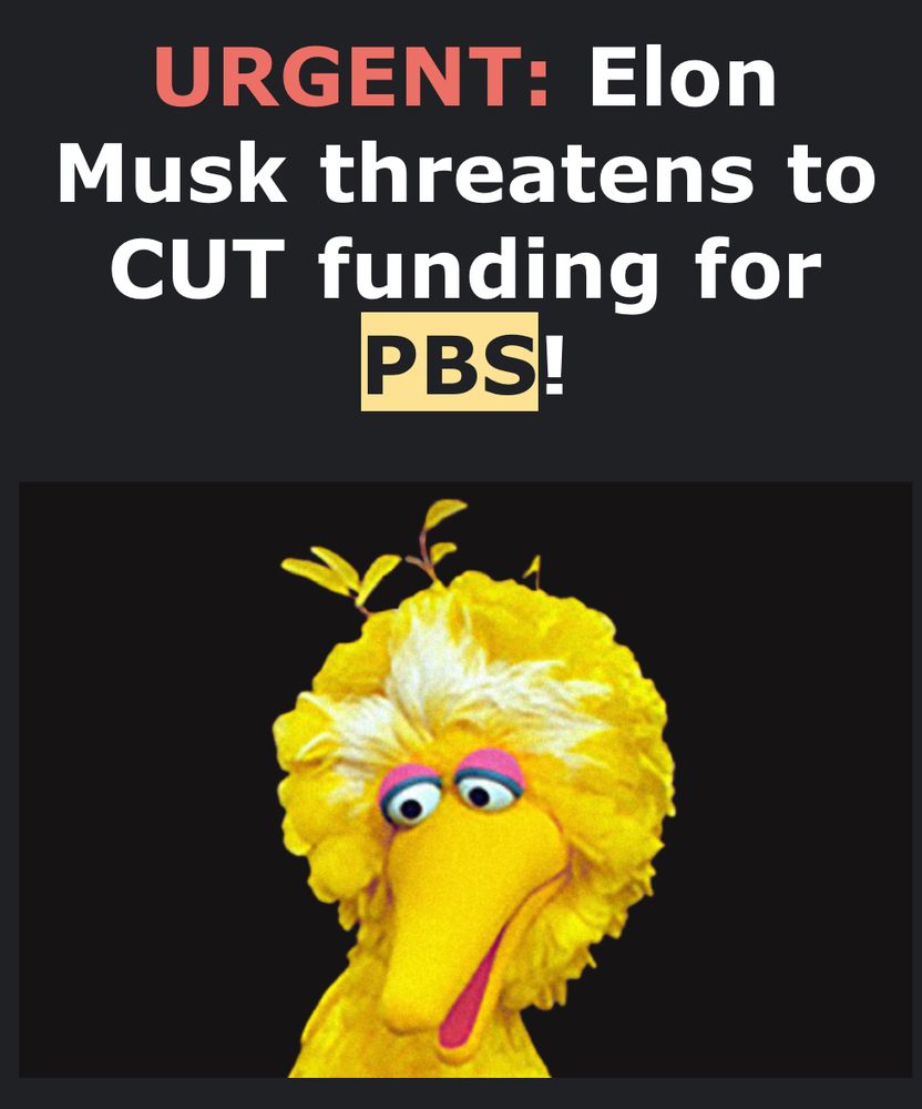 An image of Sesame Street's Big Bird ready to tear the feathers off of Elon Musk and his ailing pet bird.