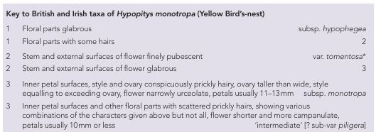 A screen shot of a key to the British and Irish taxa of Hypopitys monotropa (Yellow Bird’s-nest) from a recent BSBI News article by Fred Rumsey. 
Text: 
1 Floral parts glabrous subsp. hypophegea
 1 Floral parts with some hairs 2
 2 Stem and external surfaces of flower finely pubescent var. tomentosa*
 2 Stem and external surfaces of flower glabrous 3
 3 Inner petal surfaces, style and ovary conspicuously prickly hairy, ovary taller than wide, style  
equalling to exceeding ovary, flower narrowly urceolate, petals usually 11–13 mm subsp. monotropa
 3 Inner petal surfaces and other floral parts with scattered prickly hairs, showing various  
combinations of the characters given above but not all, flower shorter and more campanulate,  
petals usually 10 mm or less ‘intermediate’ [? sub-var piligera]