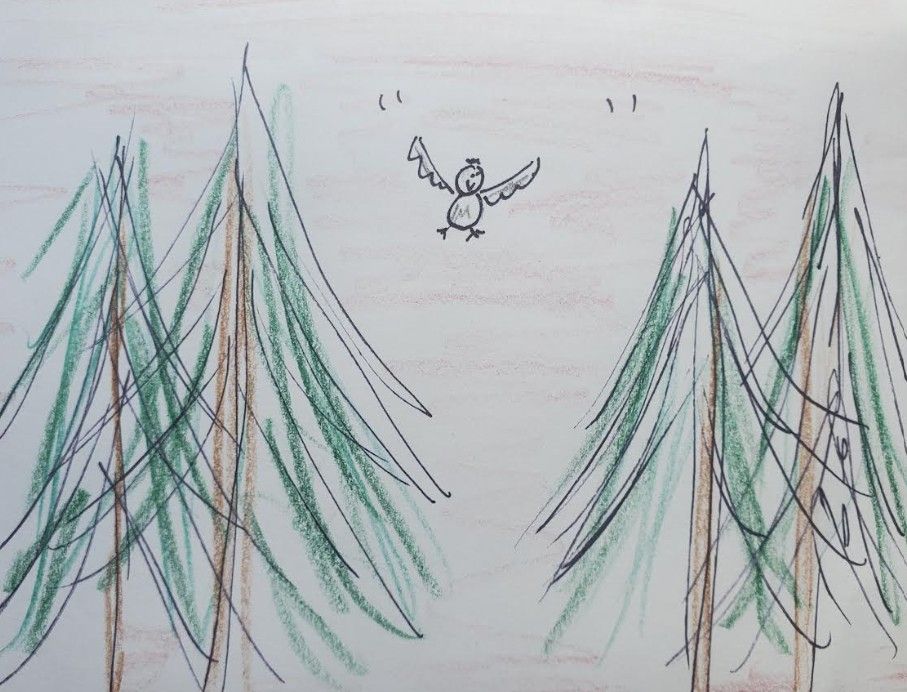 Simple sketch of a bird flying between pine trees.