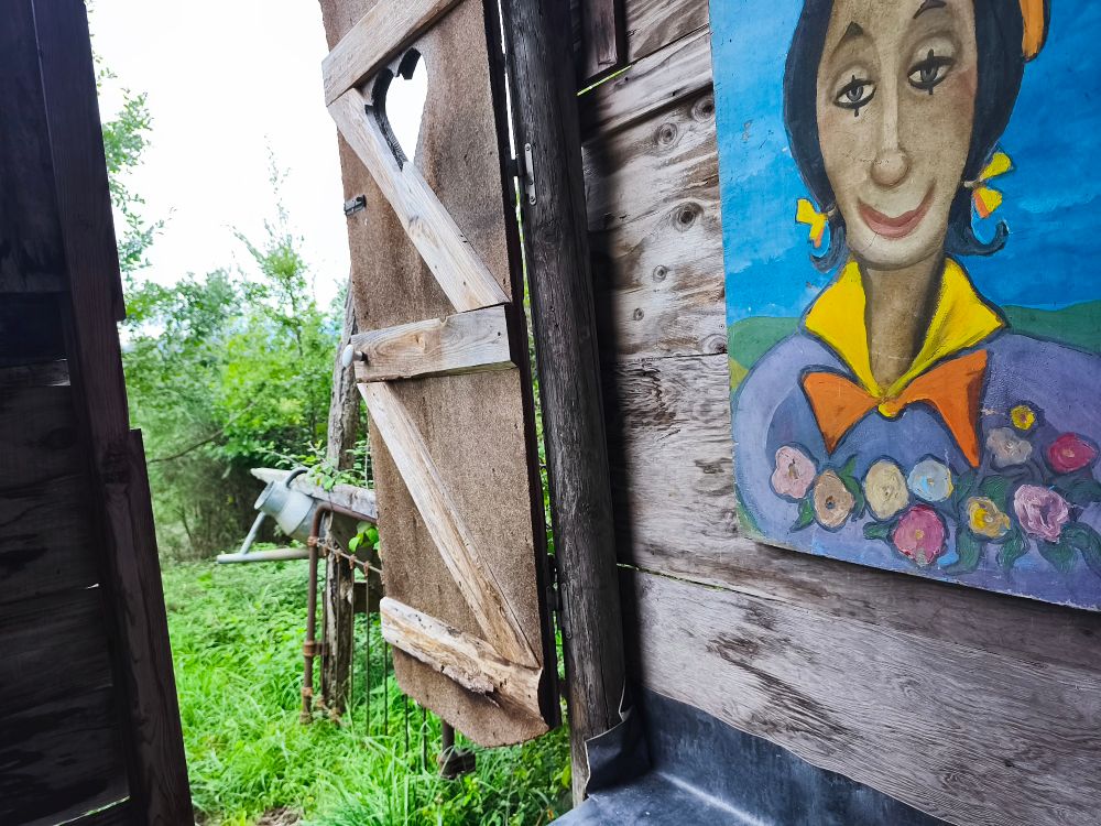 The interior of an outhouse toilet, the pyrenees visible in the distance. A portrait of a clown lady looks into your soul from the porcelain throne. 