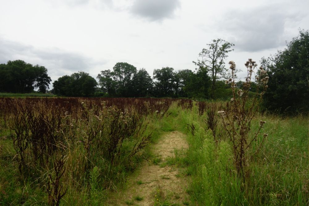 Etappe 4: Delden – Rijssen