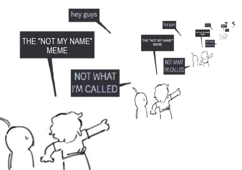 A version of the "not what I'm called" meme, where someone points at someone or something, calls it something specific, and that someone or something replies with "not what I'm called." In this case, it's a meta and endlessly recursive version of the meme, where someone calls the meme "the 'not my name' meme."