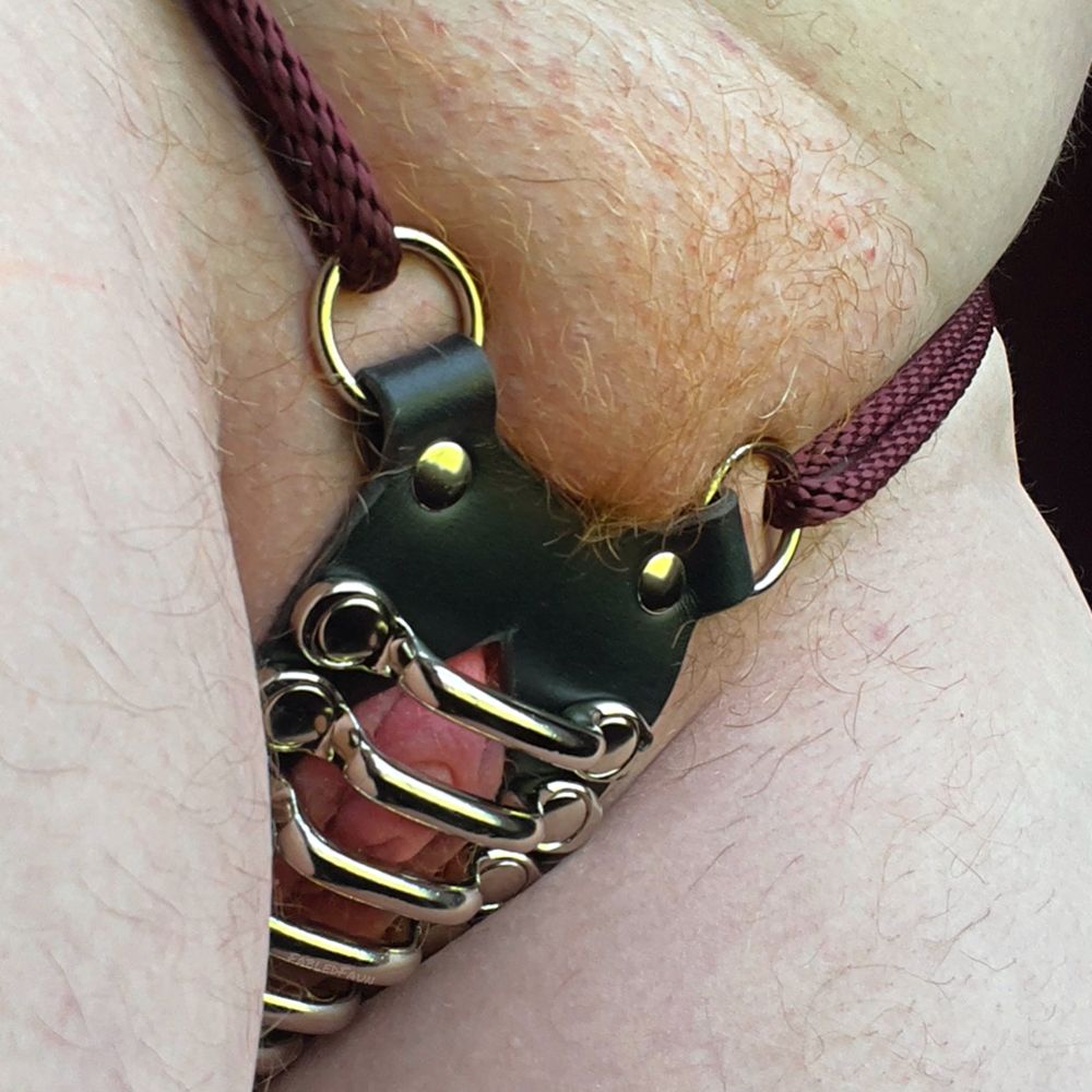 Close up of Faun’s clitdick covered by a leather and metal chastity shield. Burgundy rope ties the shield on. Faun’s fiery mini ginger bush peeks over the leather.

Chastity shield (rope not included) by Riverqueer Leatherwork. 