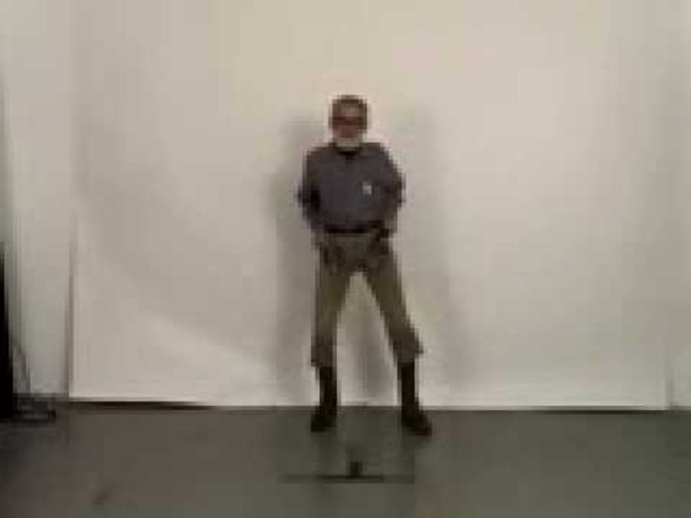 Original Sims Commercial - Elwood