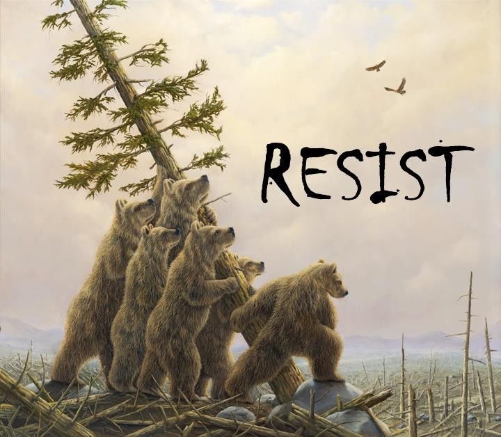 A drawing of Bears holding up a  pine tree that says RESIST