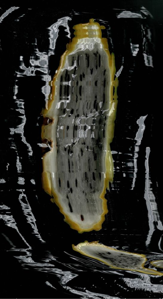 Dragged dragon fruit