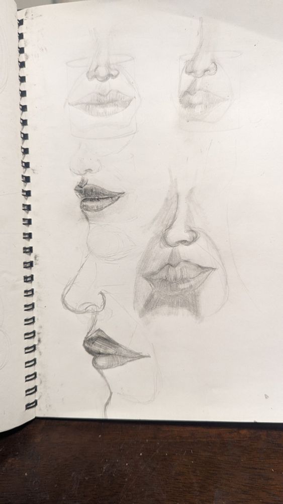 Sketching exercise of mouth and nose areas