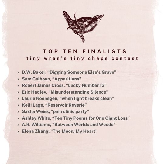 Image: Wren on a branch
Text: Top Ten Finalists
tiny wren's tiny chaps contest

D.W. Baker, “Digging Someone Else’s Grave”
Sam Calhoun, “Apparitions”
Robert James Cross, “Lucky Number 13”
Eric Hadley, “Misunderstanding Silence”
Laurie Koensgen, “when light breaks clean”
Kelli Lage, “Reservoir Reverie”
Sasha Weiss, “pain clinic party”
Ashley White, “Ten Tiny Poems for One Giant Loss”
A.R. Williams, “Between Worlds and Woods”
Elena Zhang, “The Moon, My Heart”
