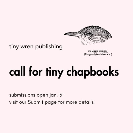 image: head of a winter wren (troglodytes hiemalis)
Text: tiny wren publishing / call for tiny chapbooks /submissions open jan. 31 / visit our Submit page for more details