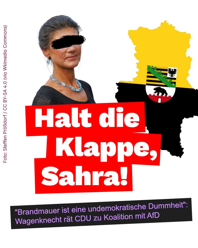 Foto: Steffen Prößdorf / CC BY-SA 4.0 (via Wkimedia Commons)

Halt die Klappe, Sahra!

"Brandmauer ist eine undemokratische Dummheit". Wagenknecht rät CDU zu Koalition mit AfD