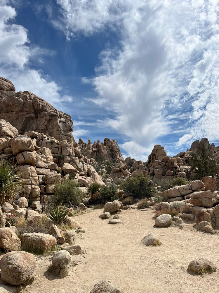 Joshua Tree National Park