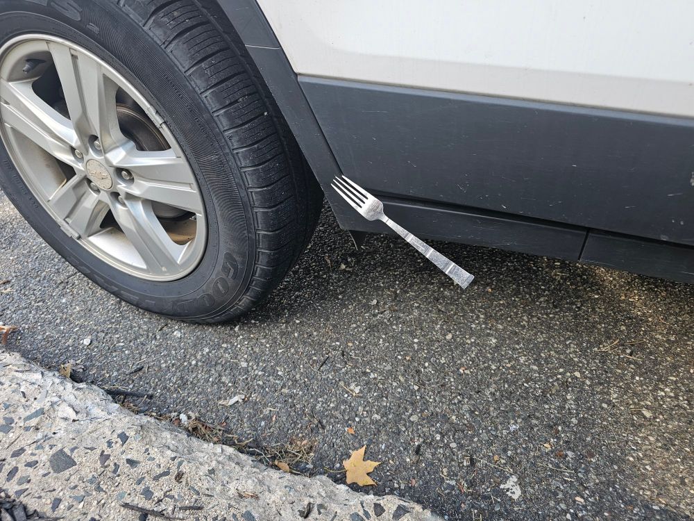 A metal tableware fork stuck in the plastic molding strip next to my tire.