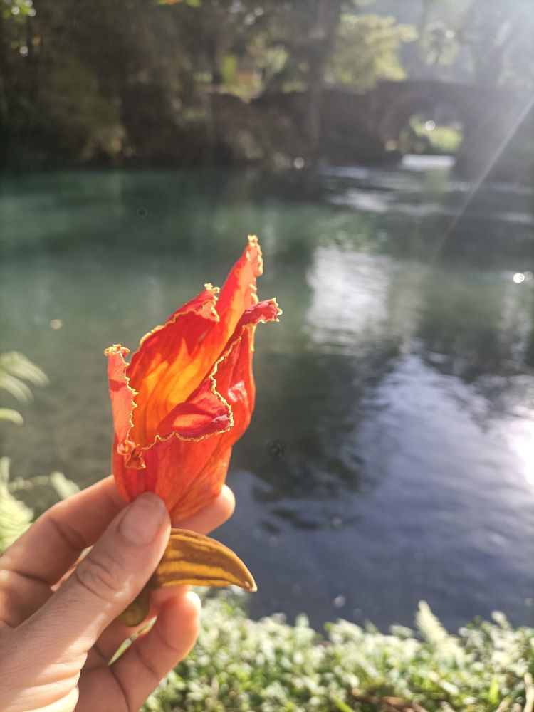 From my daughter now in Jamaïca