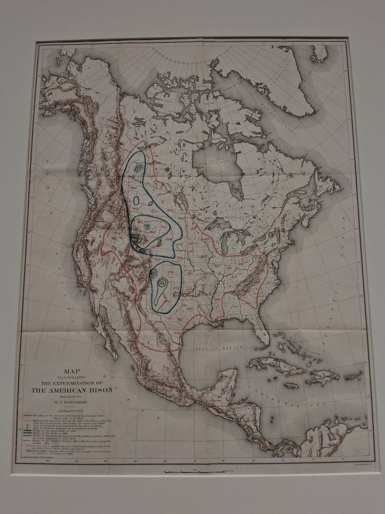 The Hornaday map which shows the original territory of the American buffalo, ranging from northern Canada into central Mexico, as far east as Maryland and Virginia and as far west as Sierra Nevada. 