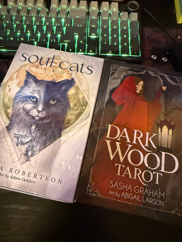 soul cats tarot 

dark wood tarot 