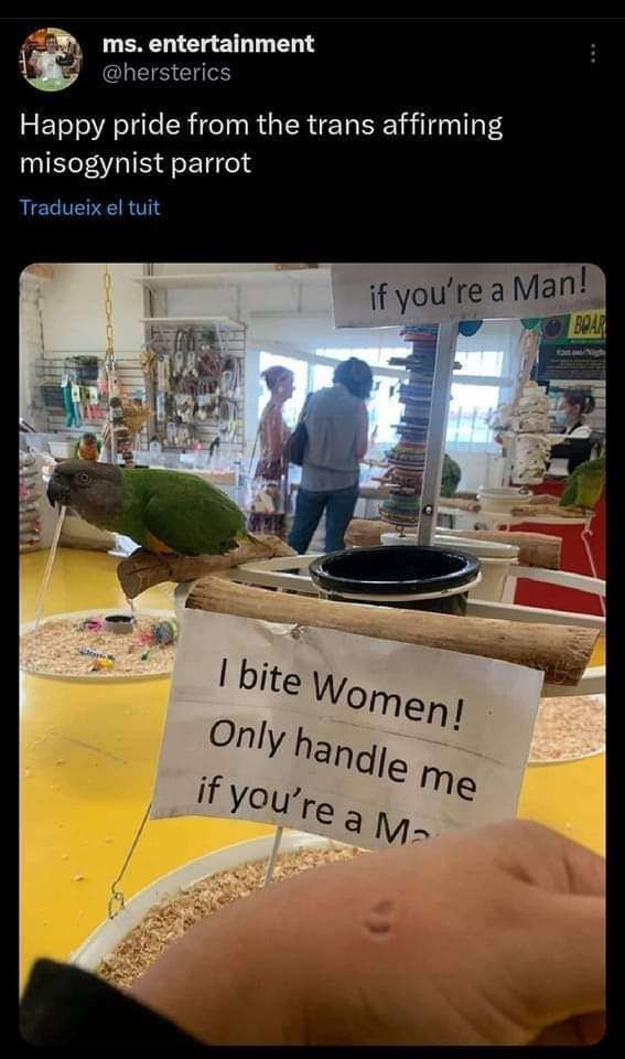 Comment image