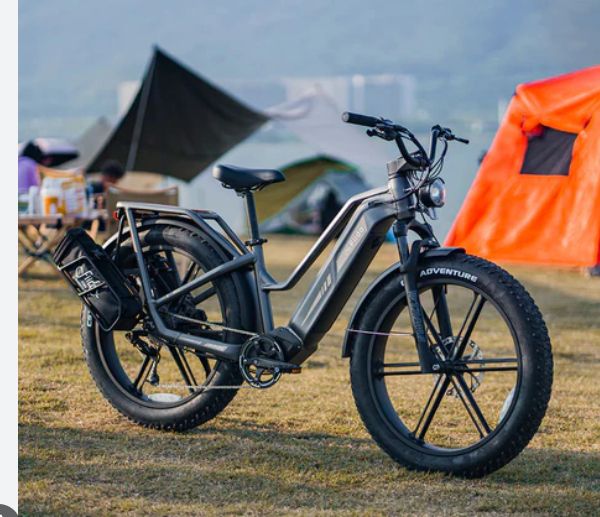 the bike i didnt get. Because the grant was for a cargobike and the practicality of the longtail beat the urge. same 40kg weight and 160kg capacity. not a serious mtb, 100mm suspension. Too dnagerous. i would have jumped it. I did jump a Xc bike before. Rest in peace scott genius mc30