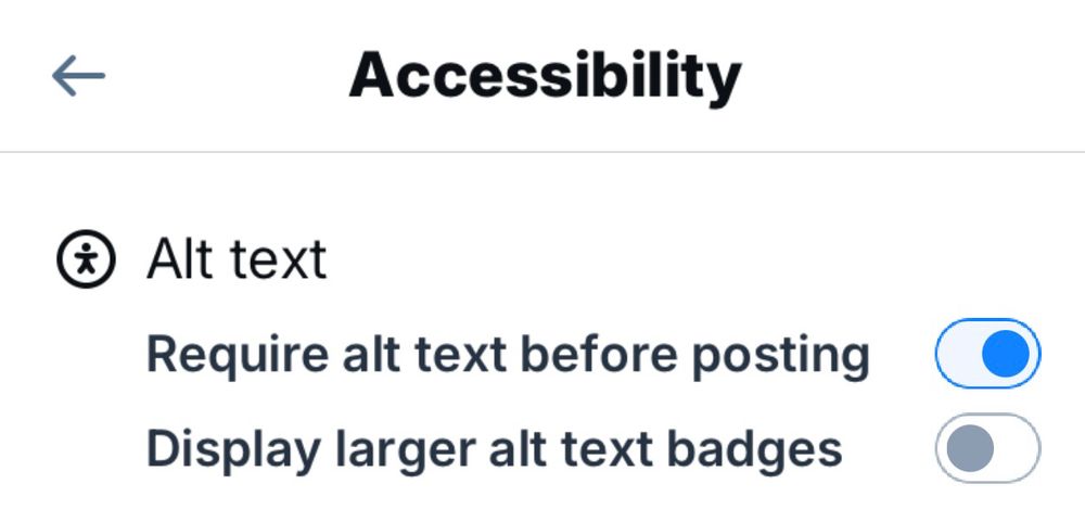 Accessibility - Alt text setting