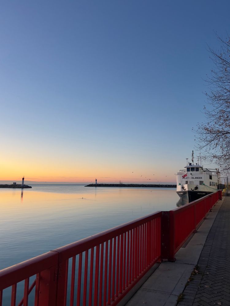 Orange Dawn on the horizon behind the calm water of the marina. A Ferry is docked by a red fence and a Cormorant is gliding through the water. 
