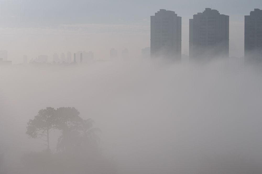 Foto colorida de uma forte neblina no bairro da Vila Guarani. Na parte inferior direita a silhueta de algumas árvores, no fundo alguns prédios.