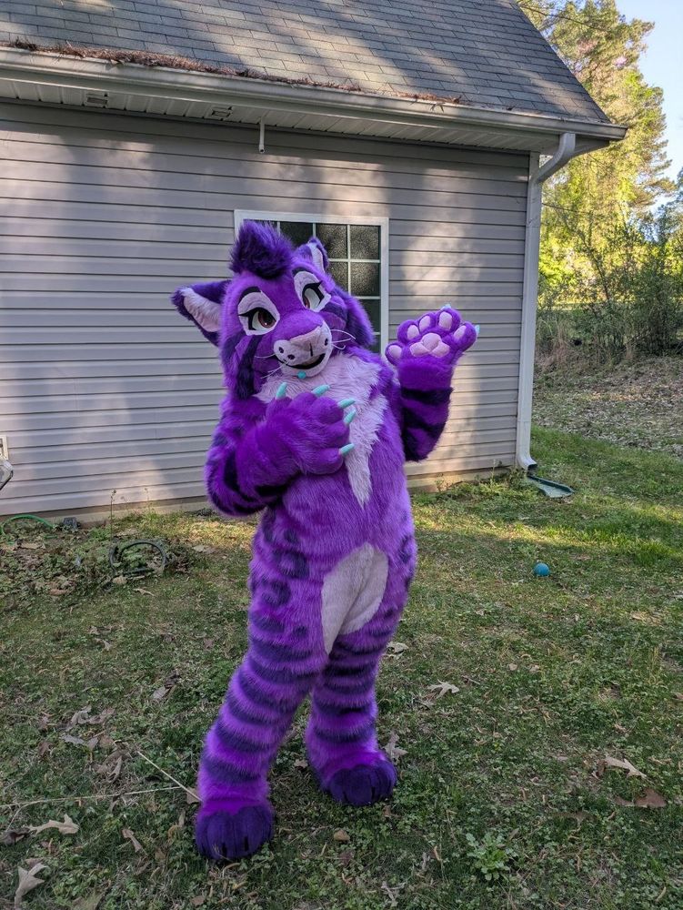 Background is a green grass yard with a corner of a house with a window. In the middle of the photo stands a person dressed in a purple bobcat animal costume facing toward the camera with their left hand open palm facing upward and right hand resting on their chest 