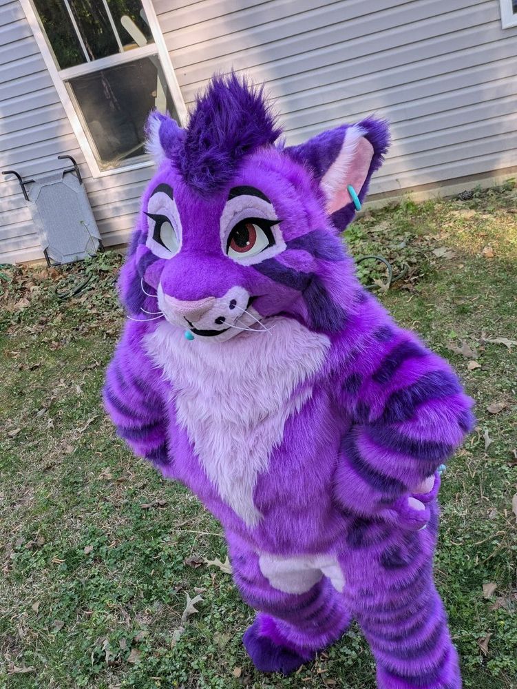 Background is green grass yard with portion of a house in the top half with a window and an outdoor dog bed leaning against the house. In the middle of the photo from a top down perspective stands a person in a purple animal costume with their hands on the hips and looking up toward the camera 
