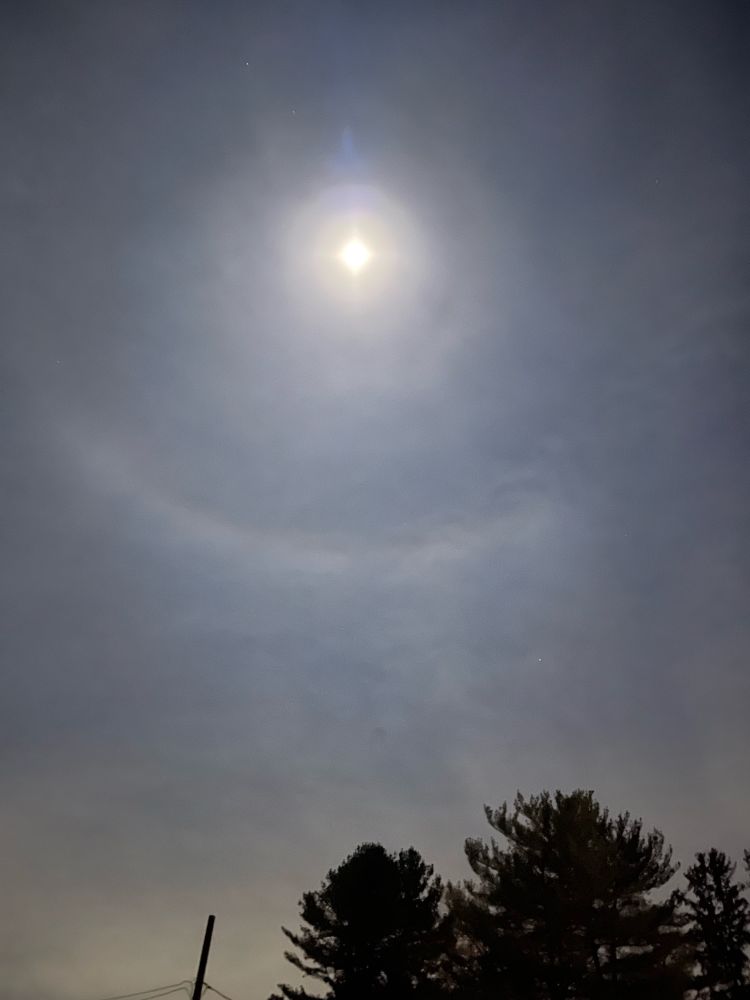 A cloudy night sky lit up by a nearly full moon - the moon being so bright that it is surrounded by a full circle of light reflecting off the clouds  - down in the lower right there are the very tops of pine trees  that look black in contrast to the brightness of the sky and moon